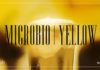 Con este nuevo single «Yellow», Microbio cierra la trilogía