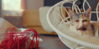 BAND OF HORSES presentan nuevo vídeo para «Crutch»