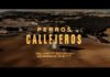 DELAIRE LANZA HOY SU SINGLE Y VIDEO «PERROS CALLEJEROS» Y ANUNCIA CONCIERTO EN MADRID EL 17 DE JUNIO