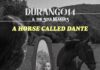 «A Horse Called Dante» es el adelanto del nuevo disco de Durango14