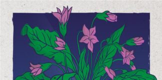 Carlos Vudú presenta video y concierto en Madrid.