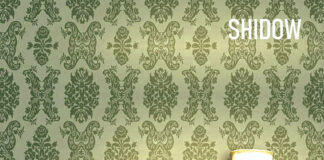 Shidow presenta «Stay with Me», su nuevo single.