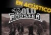 ¡The Old Rooster en Concierto Acústico este 6 de Julio!