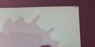 LH A Todo Ritmo – Música, Cine, Momentos Históricos viajamos a 1972 y Carmen Molina nos habla de «Madrid en Pausa»