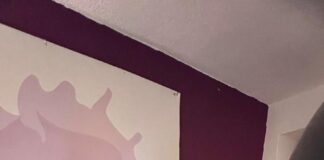 EPISIODIO 21 MAYCA TEBA en AMOSDECASA – LH MAGAZIN Radio