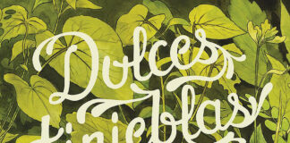 Nunca leerás nada igual a «Dulces tinieblas» de Vehlmann y Kerascoët. Norma Editorial.