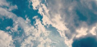 Portman nos trae el influjo de The Velvet Underground bajo su prisma musical