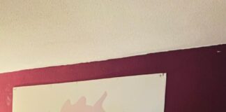 EPISIODIO 34 MONALISA en AMOSDECASA – LH MAGAZIN Radio