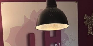 AIGOR 19 – QUE AGRADABLE ES REGRESAR A CASA DESPUÉS DE NAVIDAD