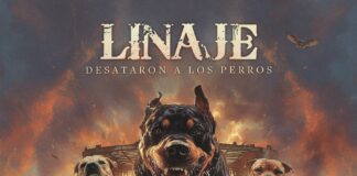 DESATARON A LOS PERROS DE LINAJE DISCO MORADO DE ESTA SEMANA