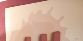 Fuera edadismo, lo nuevo de Willie Nelson y Cheikh Lô en Timpanómada