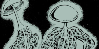 Diábolo Ediciones aterriza fuerte en el manga con «La invasión de los hongos del espacio» de Marina Shirakawa.