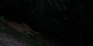 Las Noches De Sergio Carro Con Eva Rico