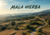 Telescopika arranca de raíz el pasado con “Mala Hierba”, su nuevo single